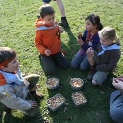 IMG 0209  Medium - Scouts en Gidsen Zaventem 